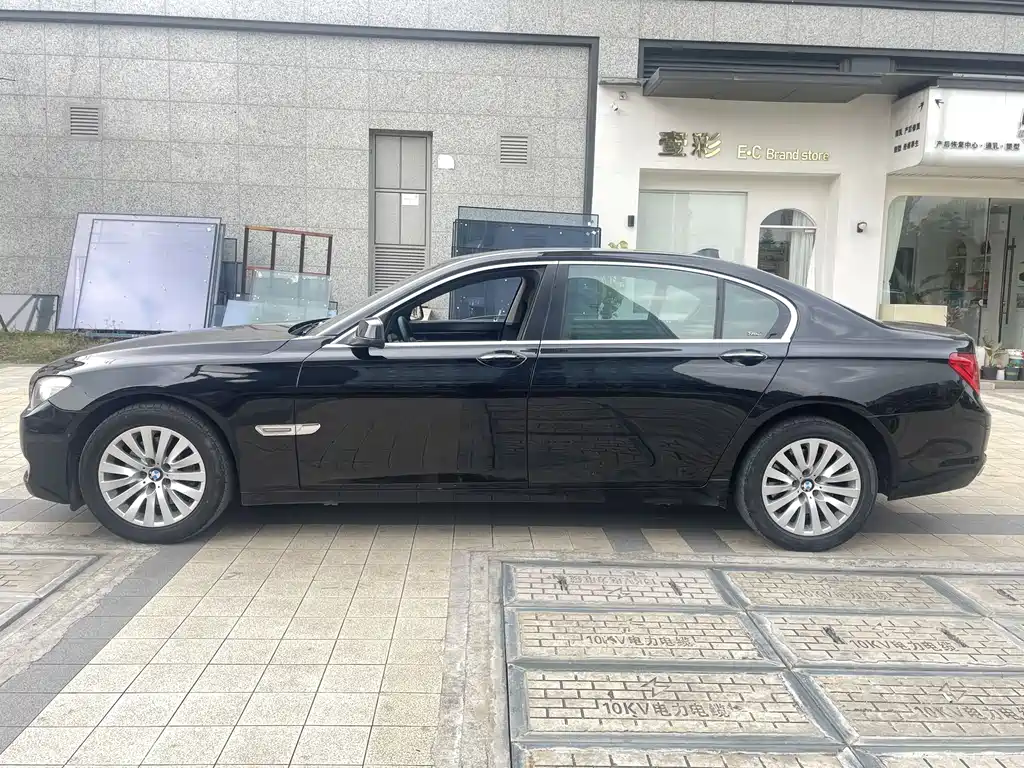 BMW 7 Series 730Li Luxury Type, фото 4