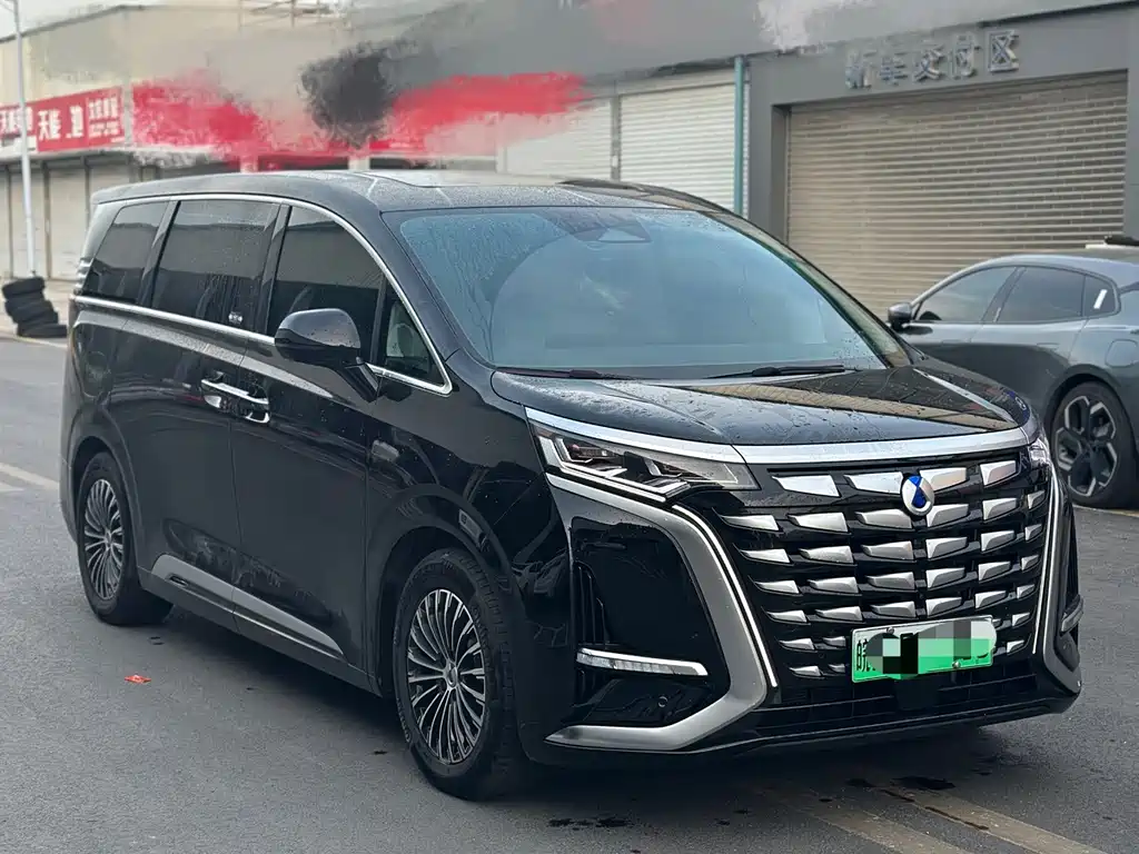 Denza Denza D9 — миниатюра 3