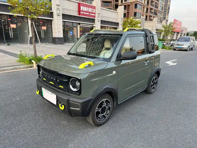 2025 Geely LC (Panda)