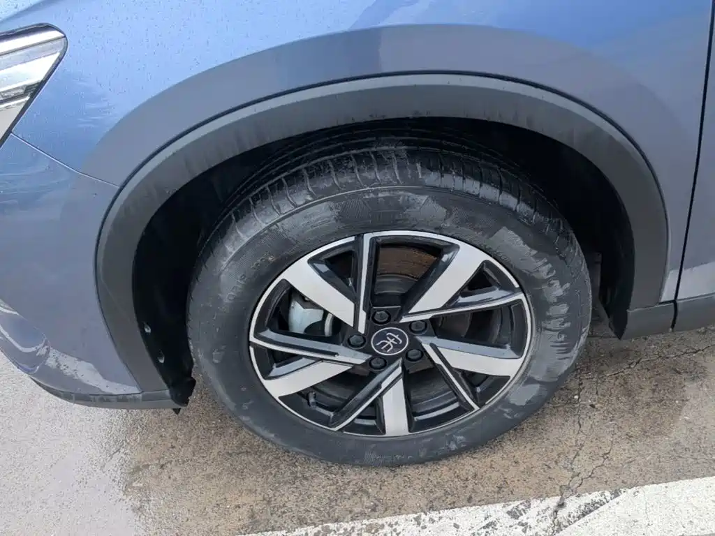 BYD Pro New Energy — миниатюра 23