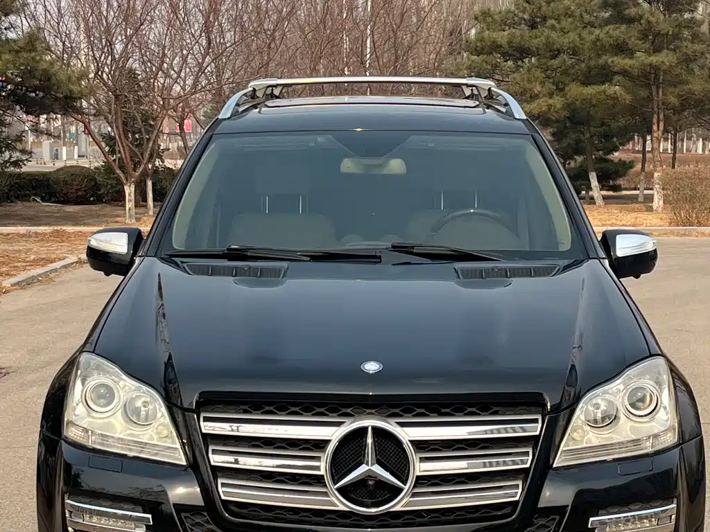 Mercedes-Benz GL-Class 2010