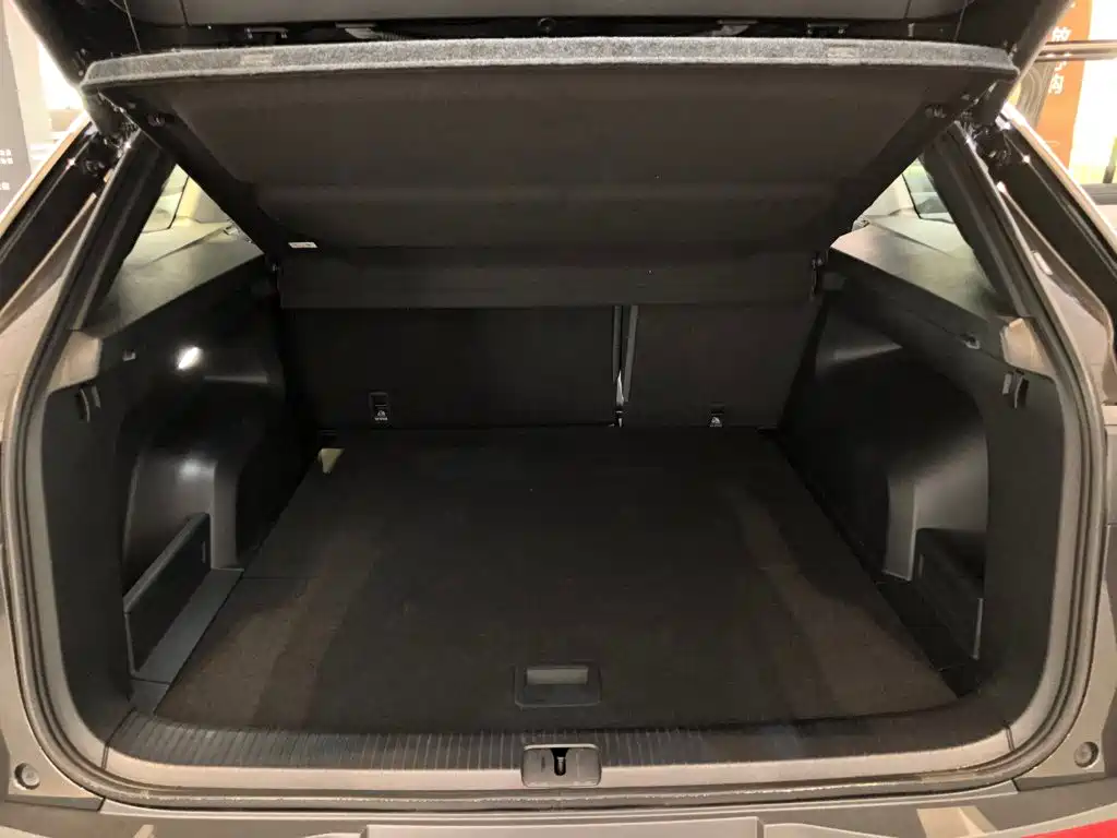 Volkswagen Tavendor — миниатюра 5