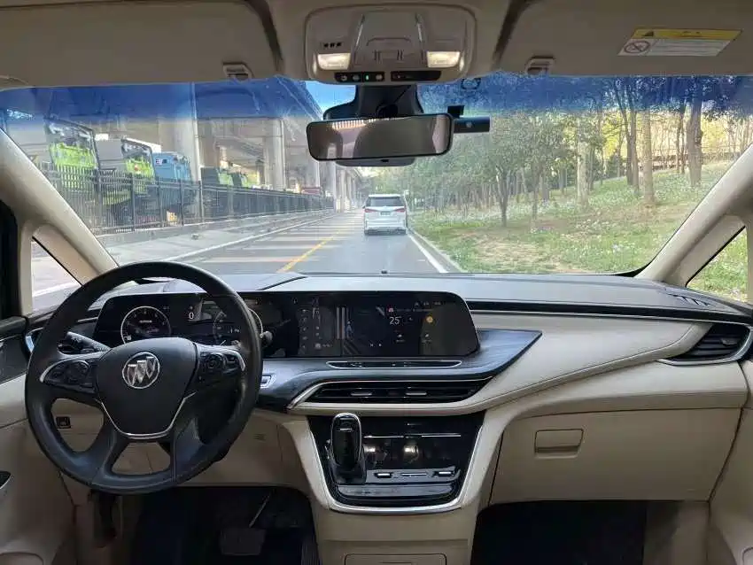 Buick GL8 — миниатюра 10