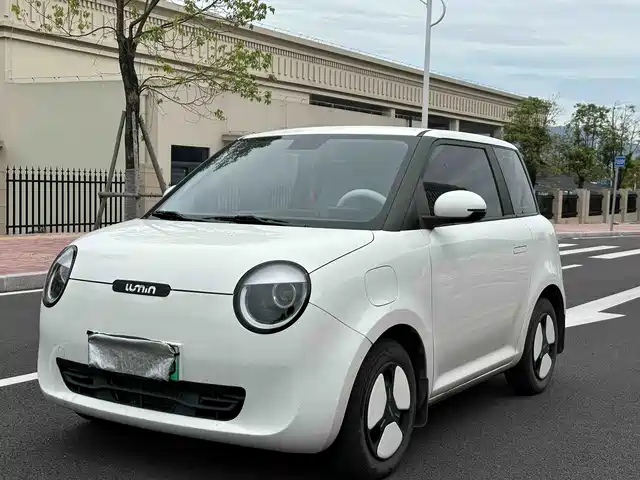 2024 Changan Lumin