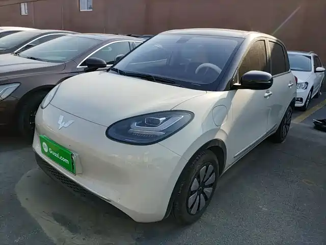 2024 Wuling Motors Binguo