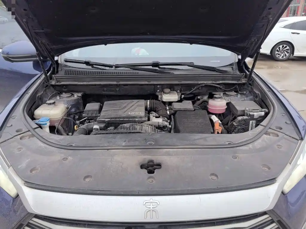 BYD Pro New Energy — миниатюра 21