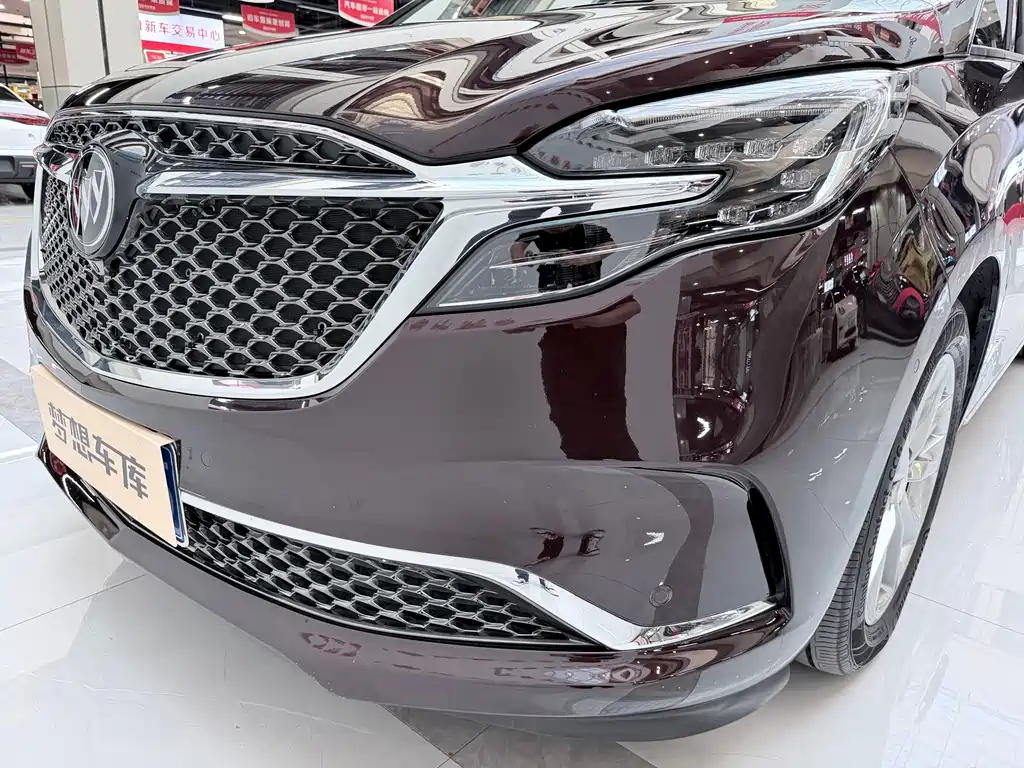 Buick GL8 — миниатюра 8