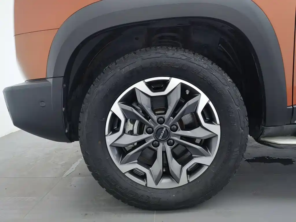 Haval Big Dog — миниатюра 17