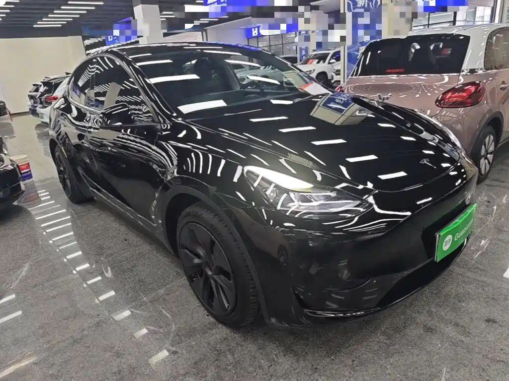 Tesla Model Y — миниатюра 4