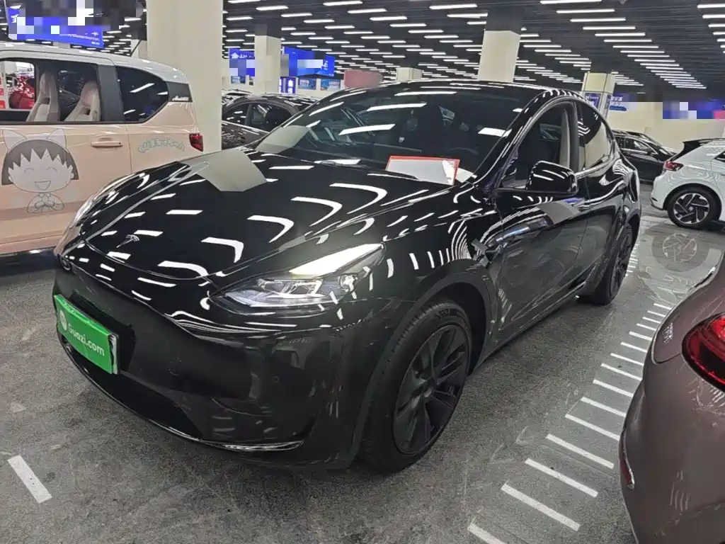 Tesla Model Y — миниатюра 2