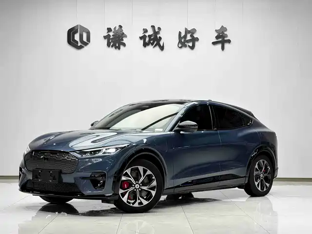 FORD ELECTRIC HORSE 2022