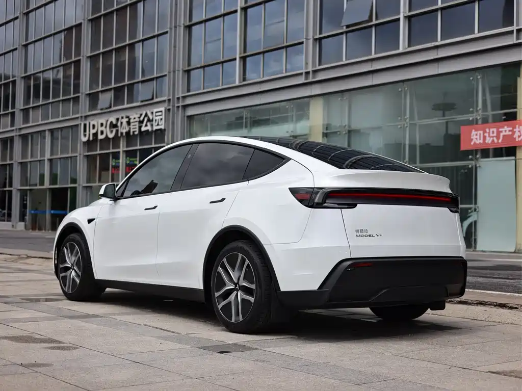 Tesla Model Y — миниатюра 5