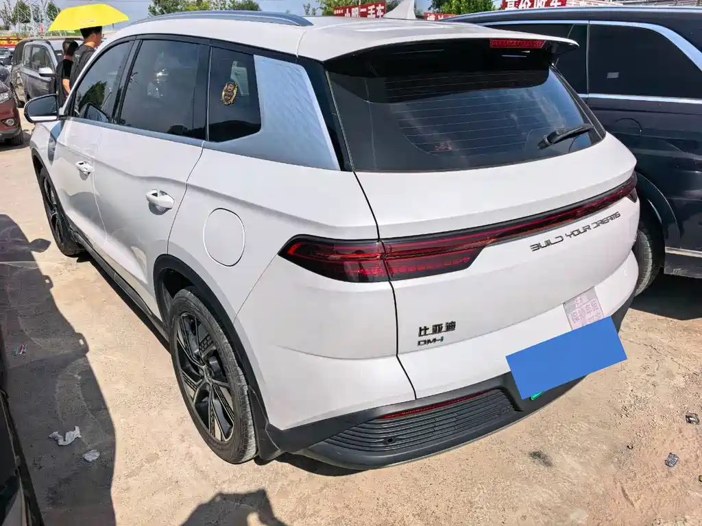 BYD Pro New Energy — миниатюра 6
