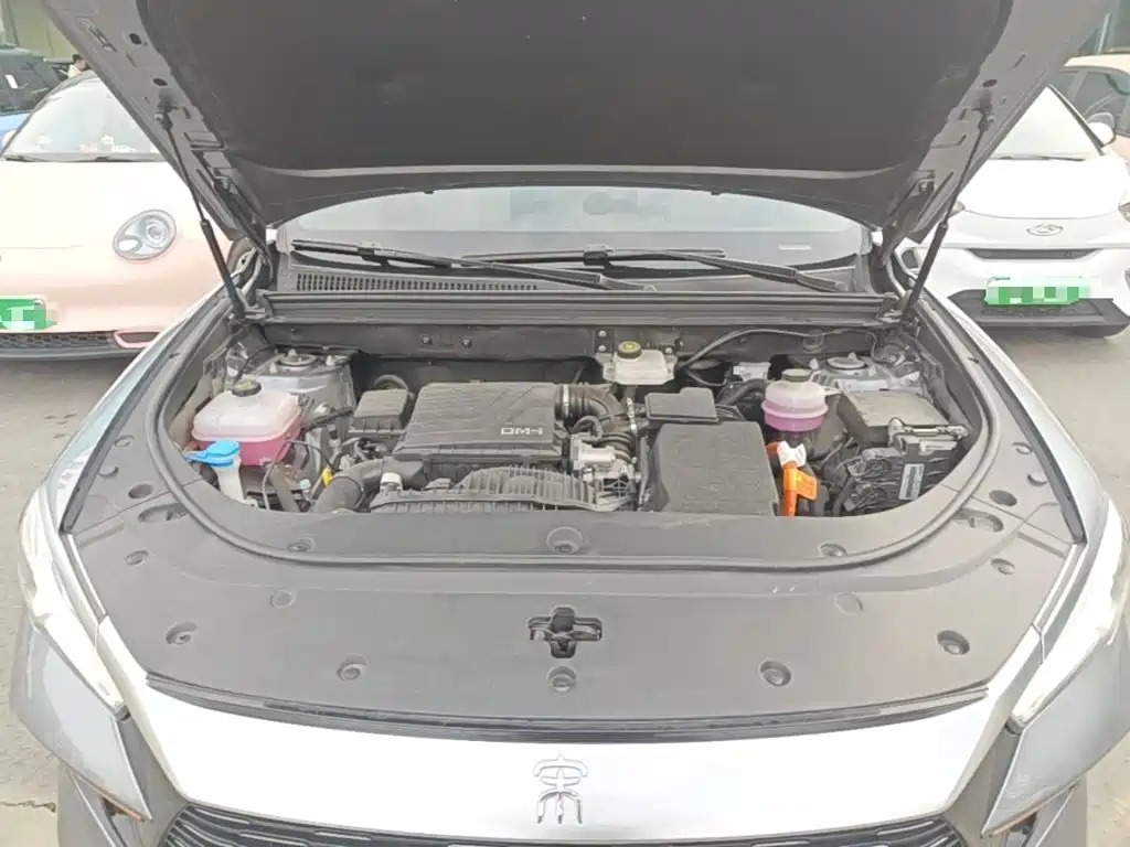BYD Pro New Energy — миниатюра 20