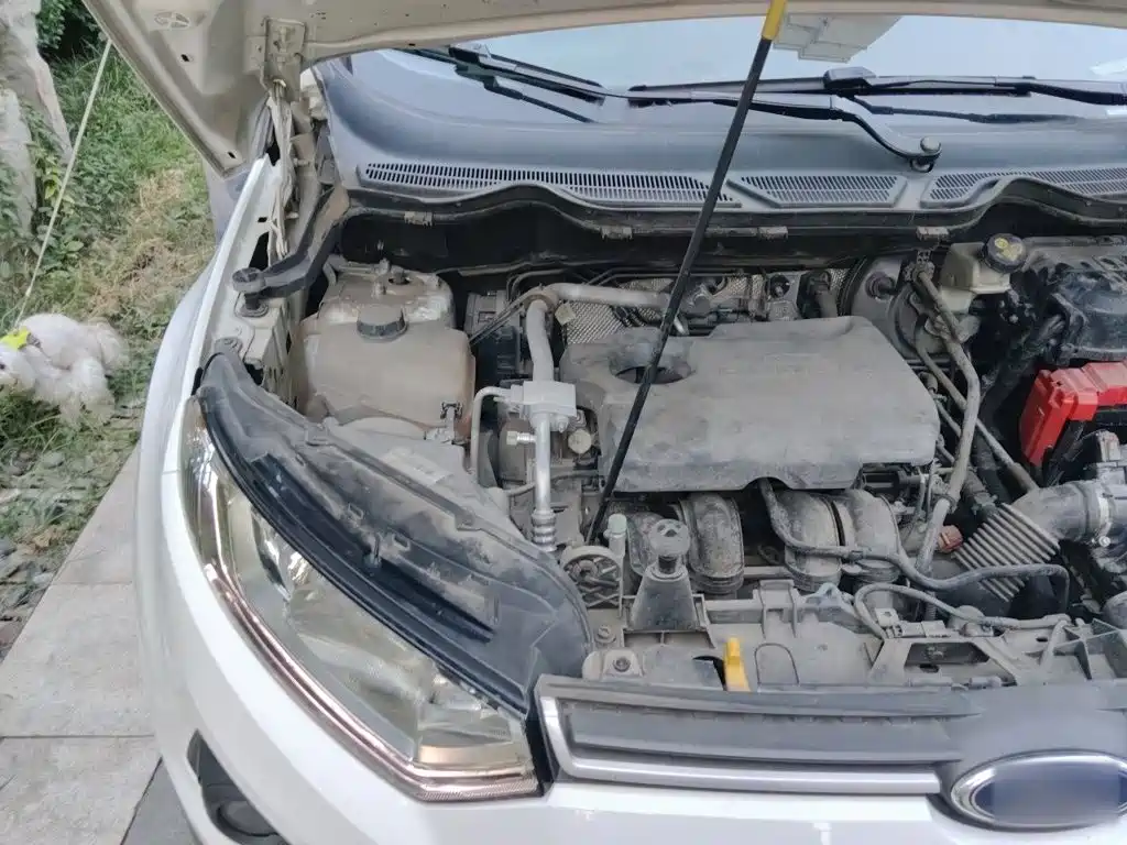 Ford Ecosport — миниатюра 21