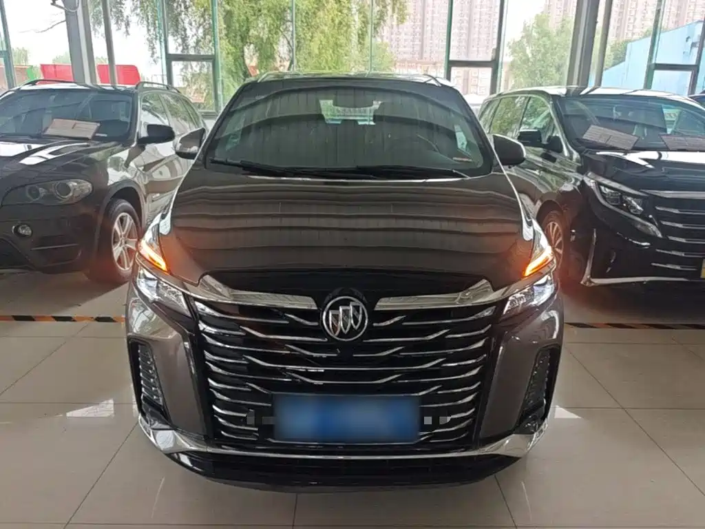 Buick GL8 — миниатюра 3