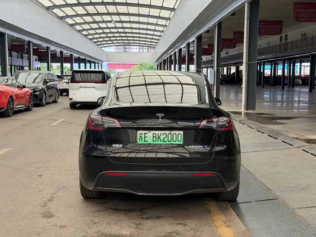 Tesla Model Y — миниатюра 8