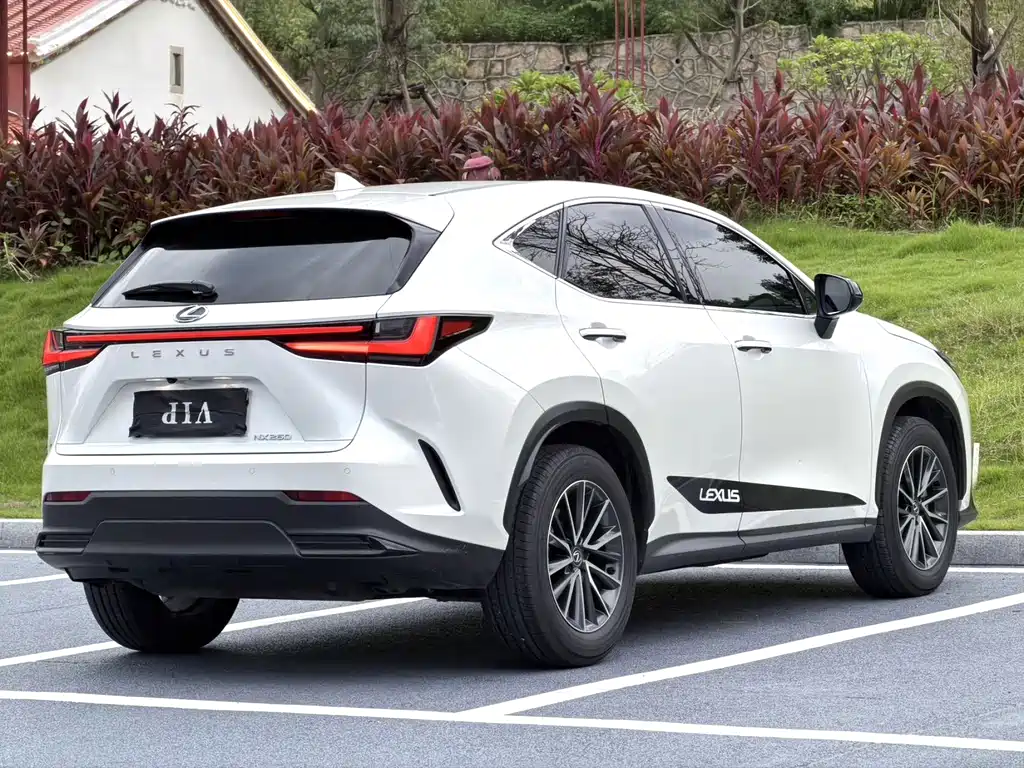 Lexus NX — миниатюра 4