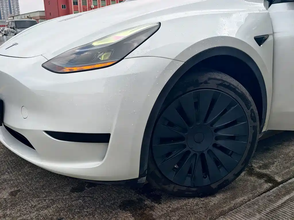 Tesla Model Y — миниатюра 8