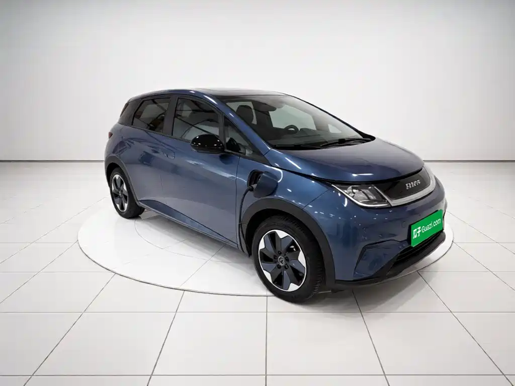 BYD Dolphin — миниатюра 3