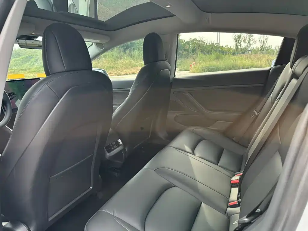 Tesla Model 3 — миниатюра 6
