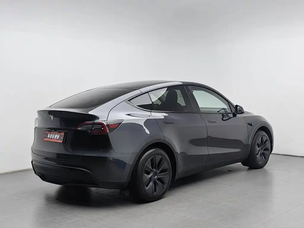 Tesla Model Y — миниатюра 2