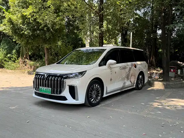 2022 Voyah Dream
