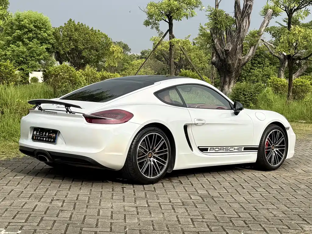 Porsche Cayman — миниатюра 14