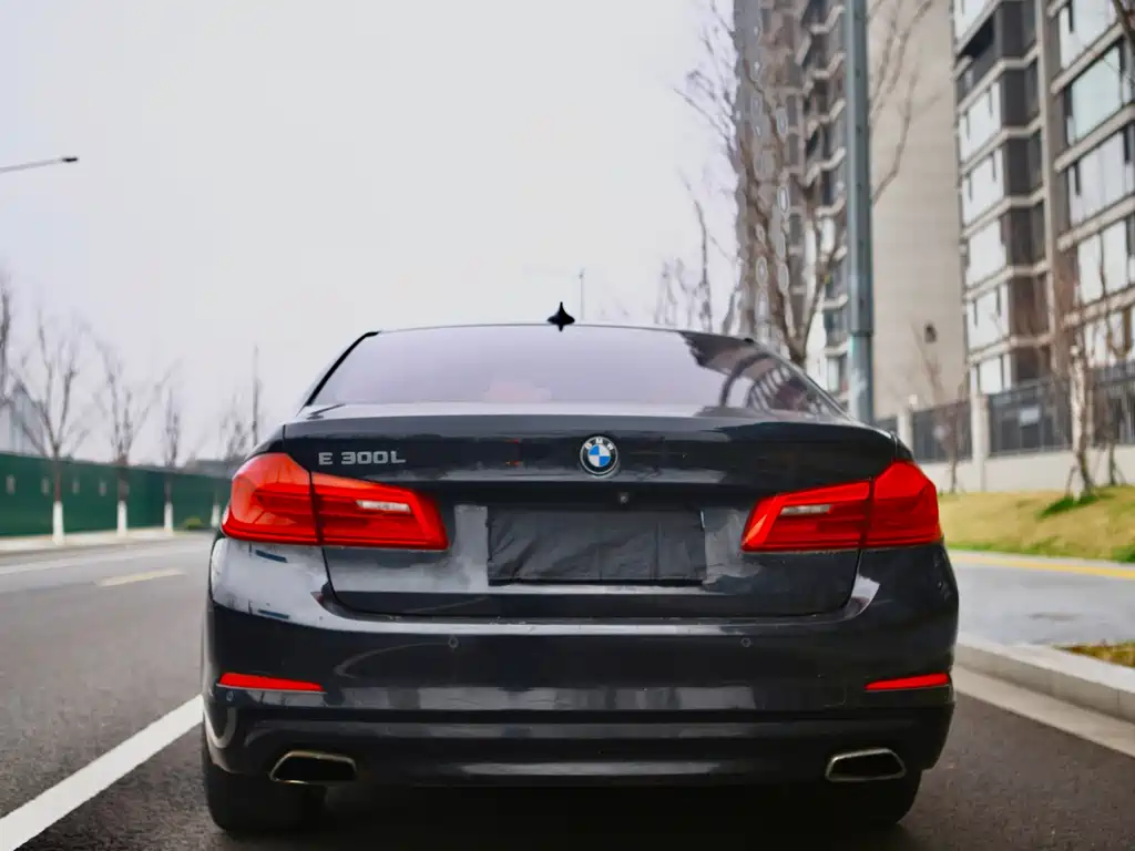 BMW 5 Series 5 2018 528Li