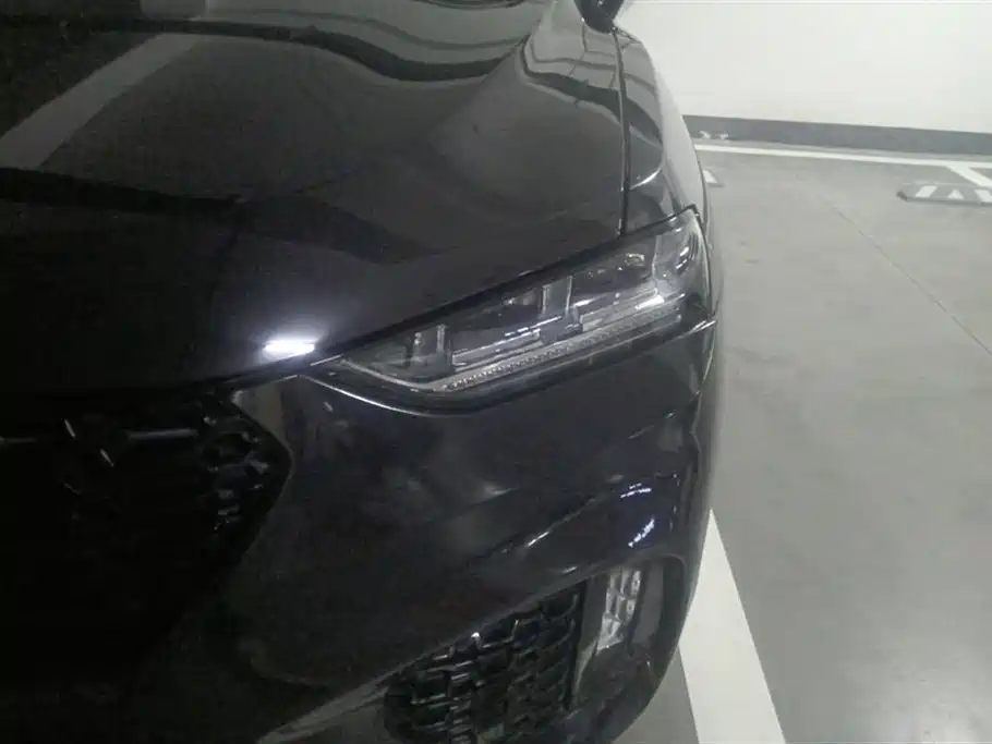 WEI PAI WEI BRAND VV7