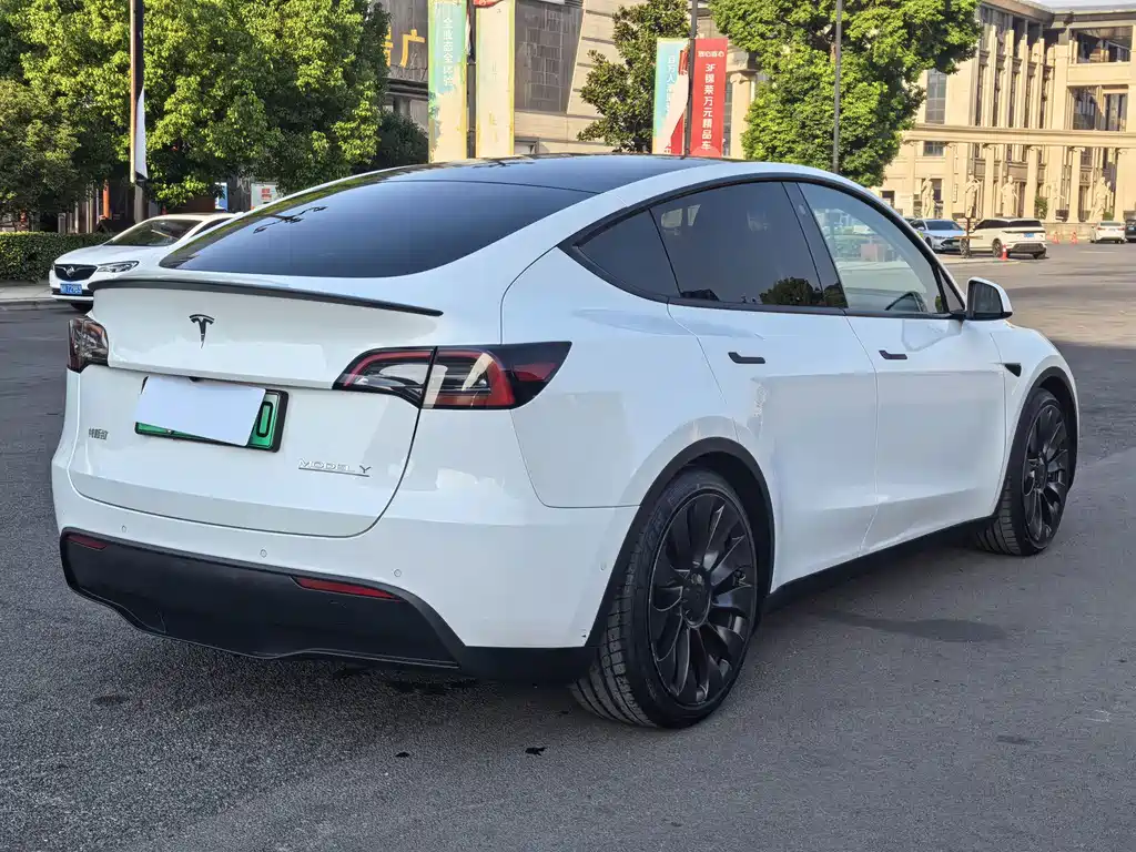 Tesla Model Y — миниатюра 16