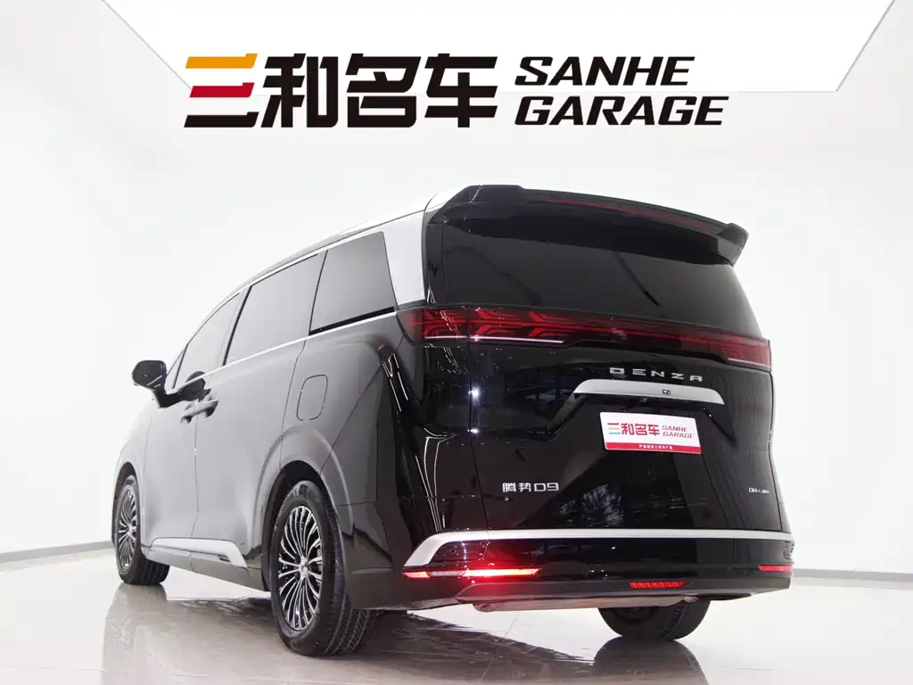 DENZA D9