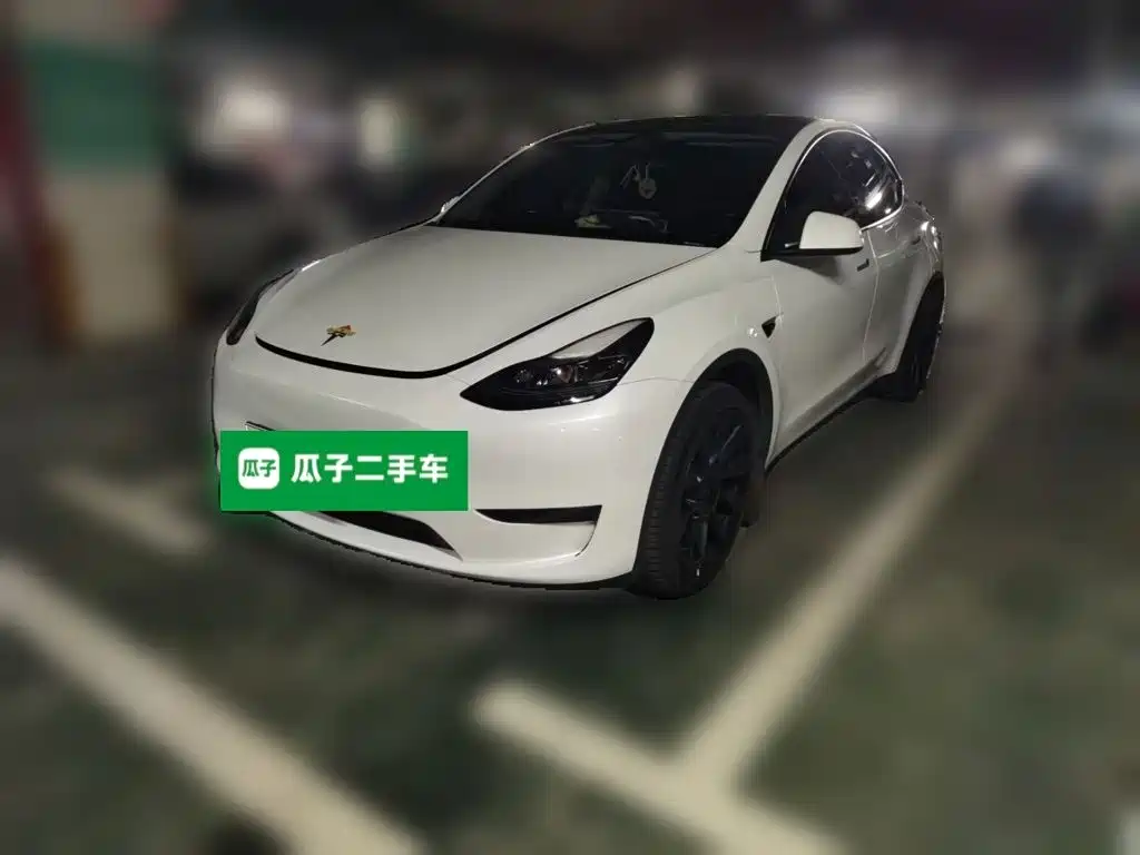 Tesla Model Y — миниатюра 2