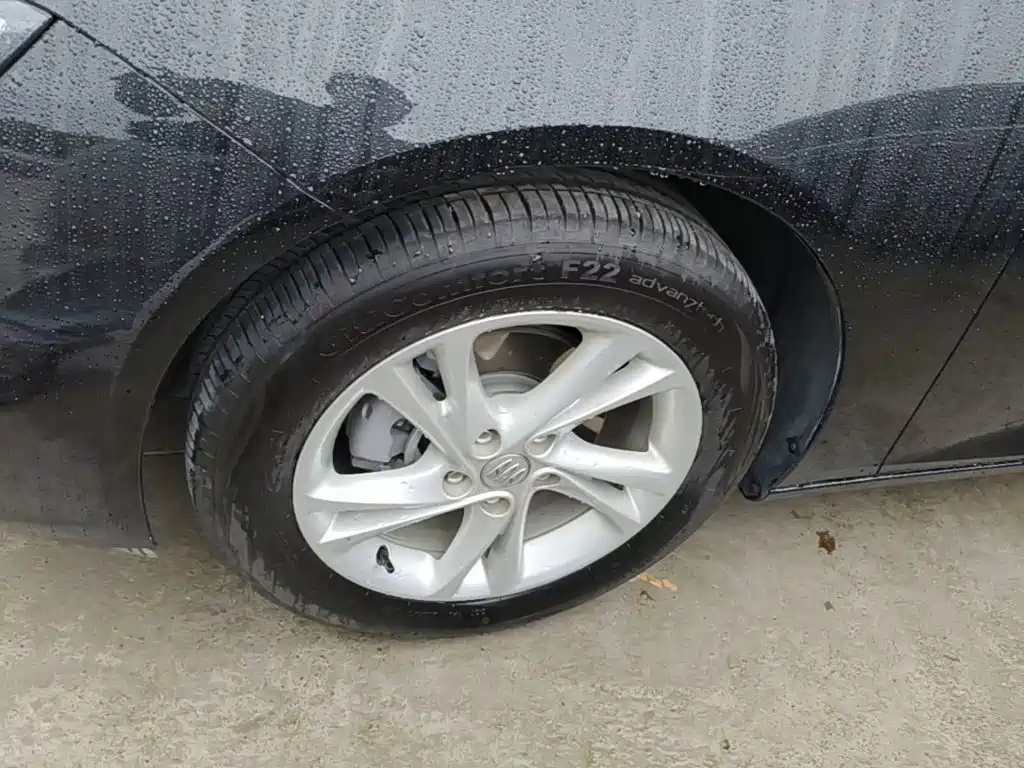 Buick Regal — миниатюра 23