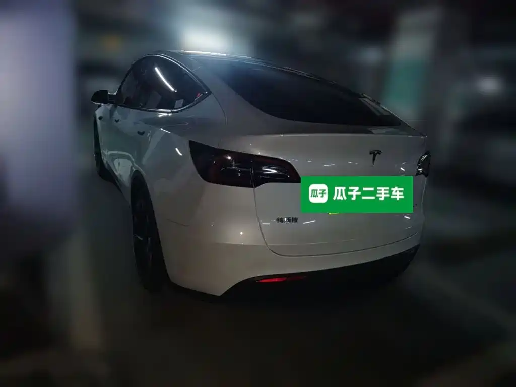 Tesla Model Y — миниатюра 25