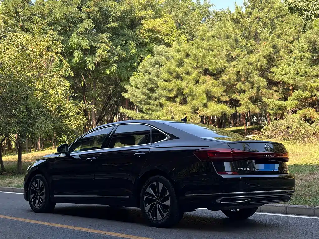 Volkswagen Passat — миниатюра 6