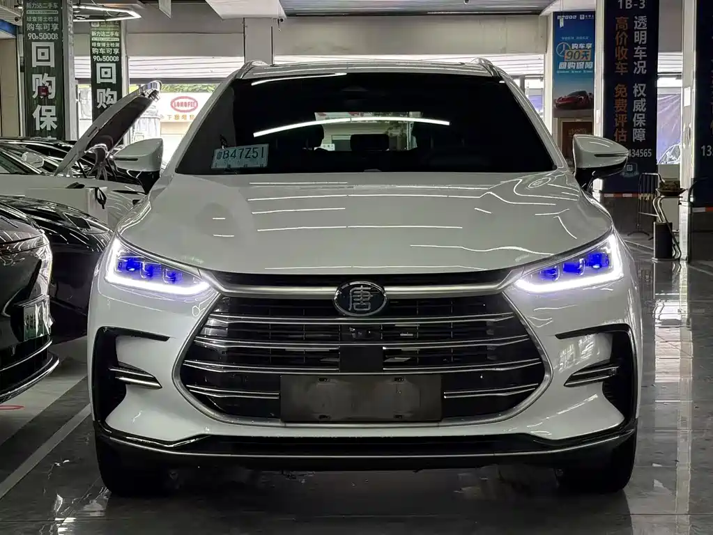 BYD Tang New Energy — миниатюра 2