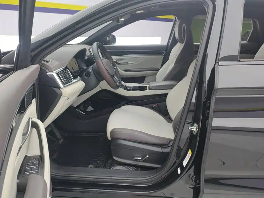 BYD PLUS New Energy — миниатюра 9