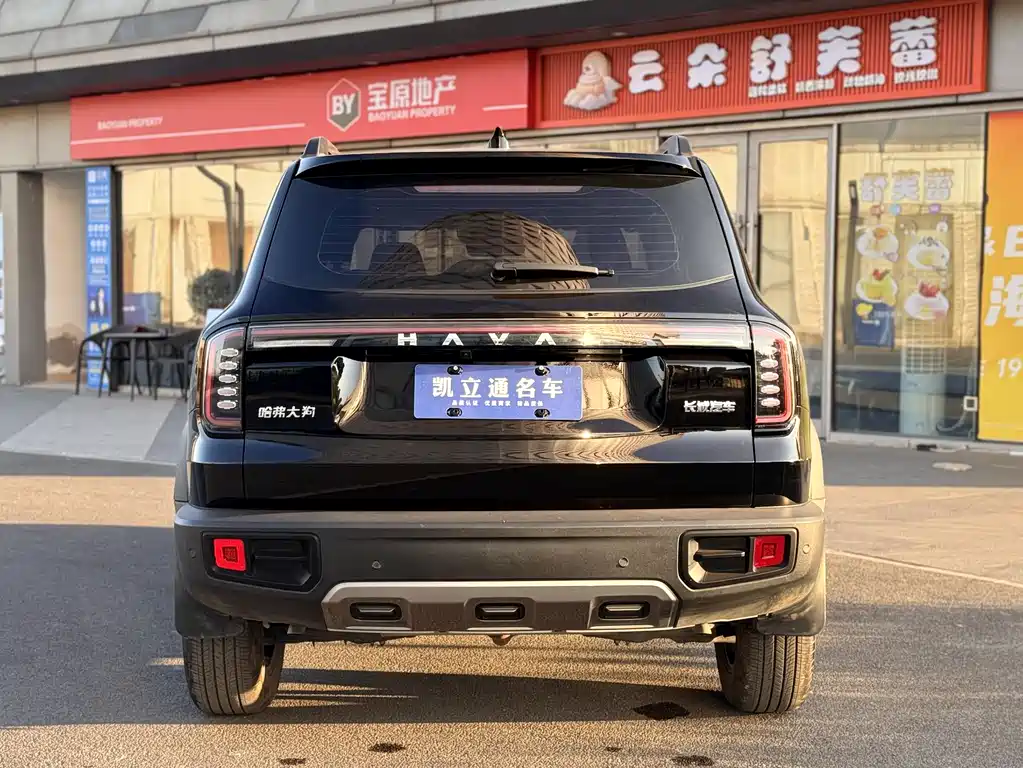 HAVAL BIG DOG