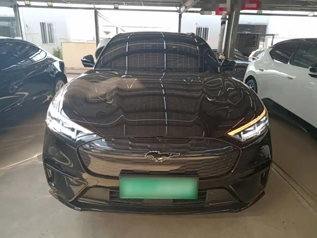 Ford Mustang Mach-E — миниатюра 3