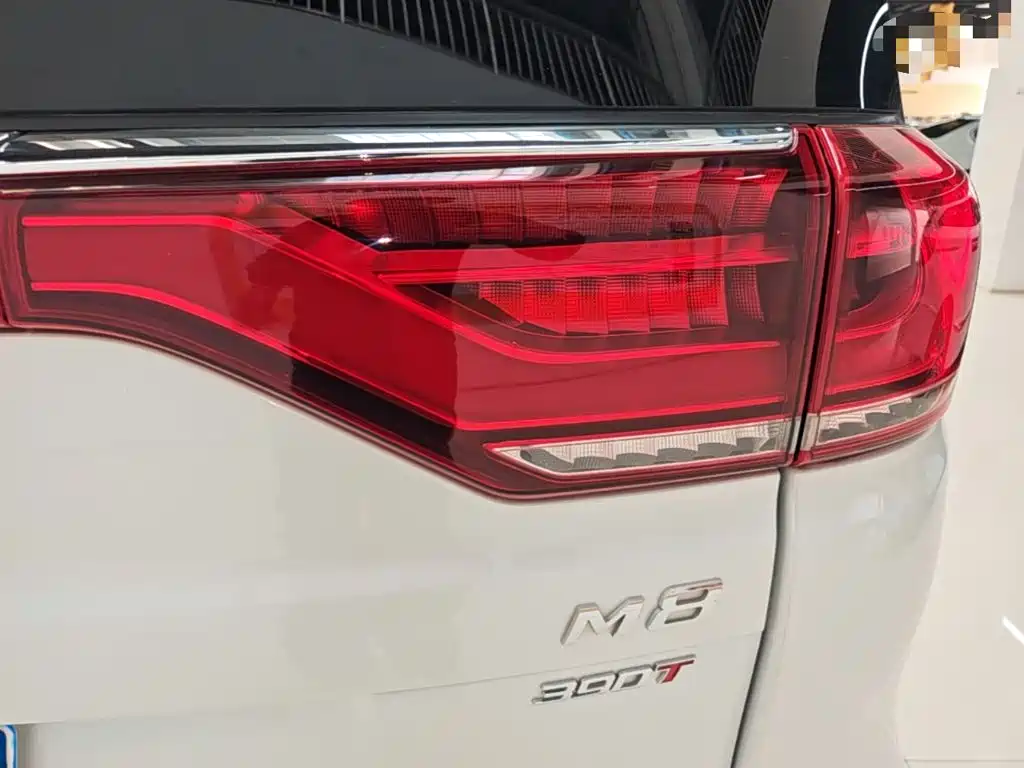 GAC Motor Trumpchi M8 — миниатюра 8