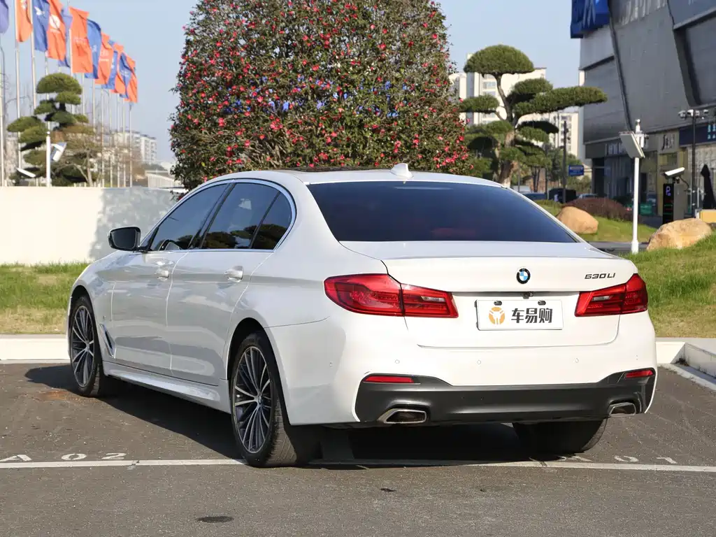 BMW 5 Series — миниатюра 19