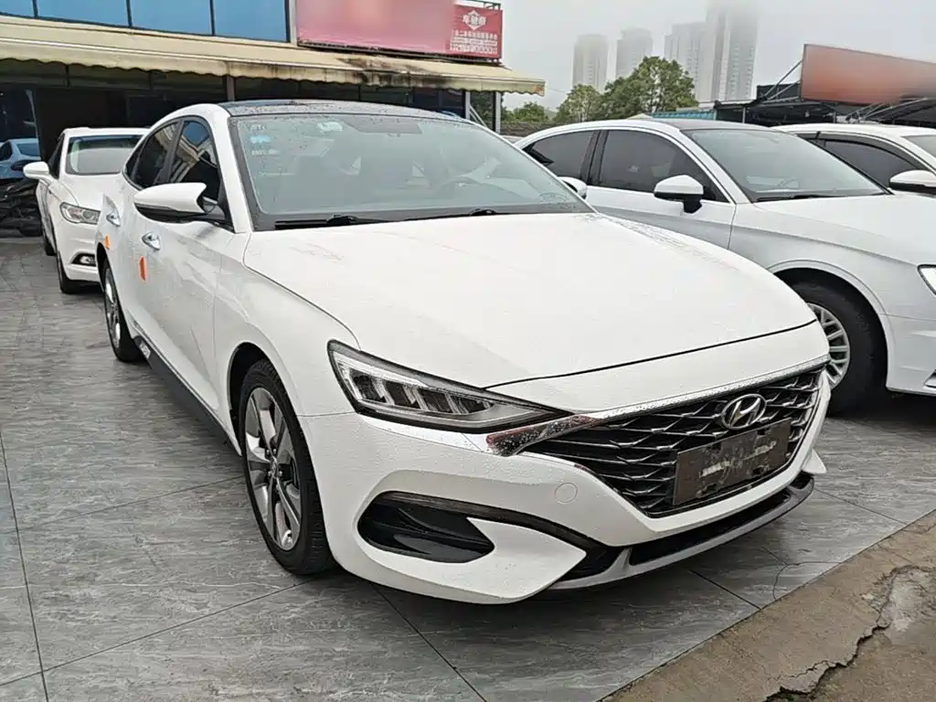 Hyundai Fista — миниатюра 4