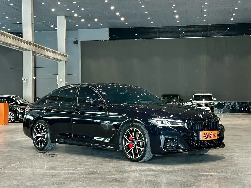 BMW 5 Series (Import) — миниатюра 3