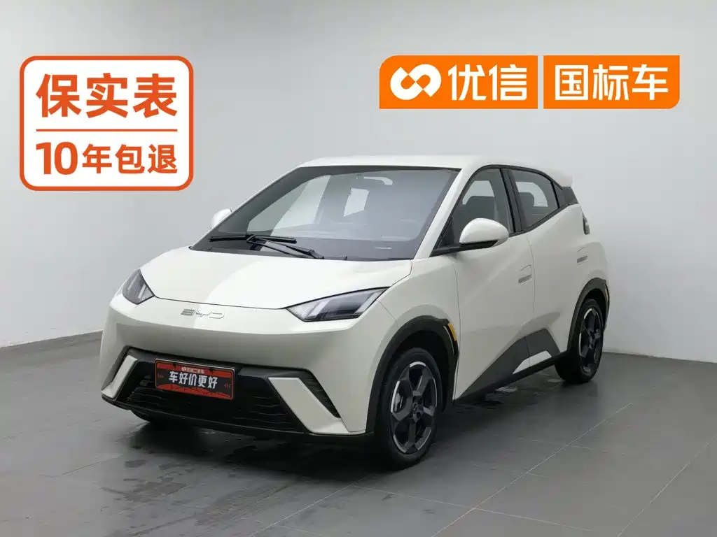 BYD Seagull