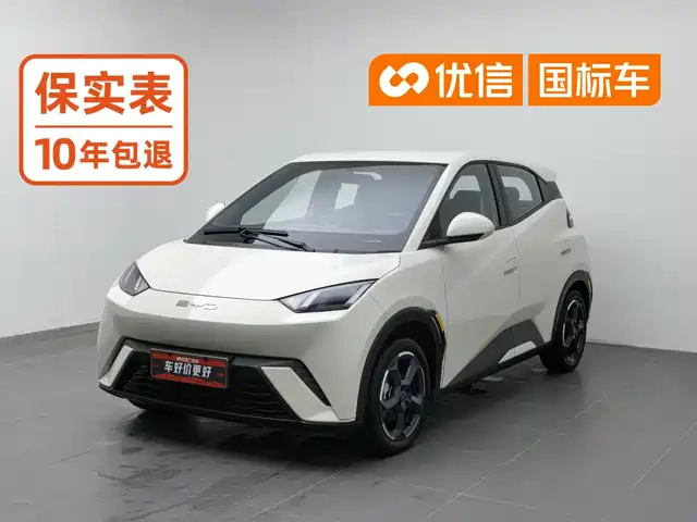 BYD Seagull
