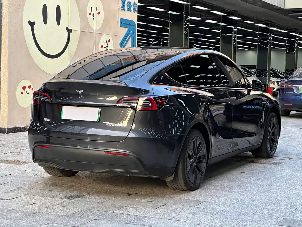 Tesla Model Y — миниатюра 16
