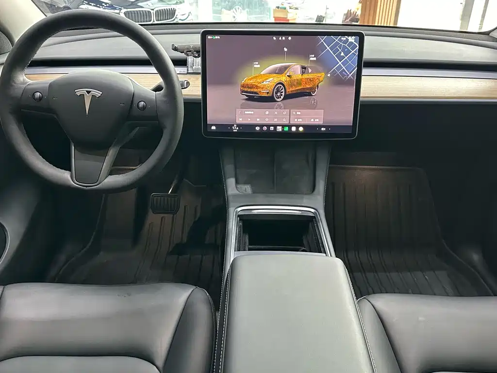 Tesla Model Y — миниатюра 11