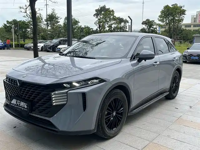 QICHEN  BIG V 2022