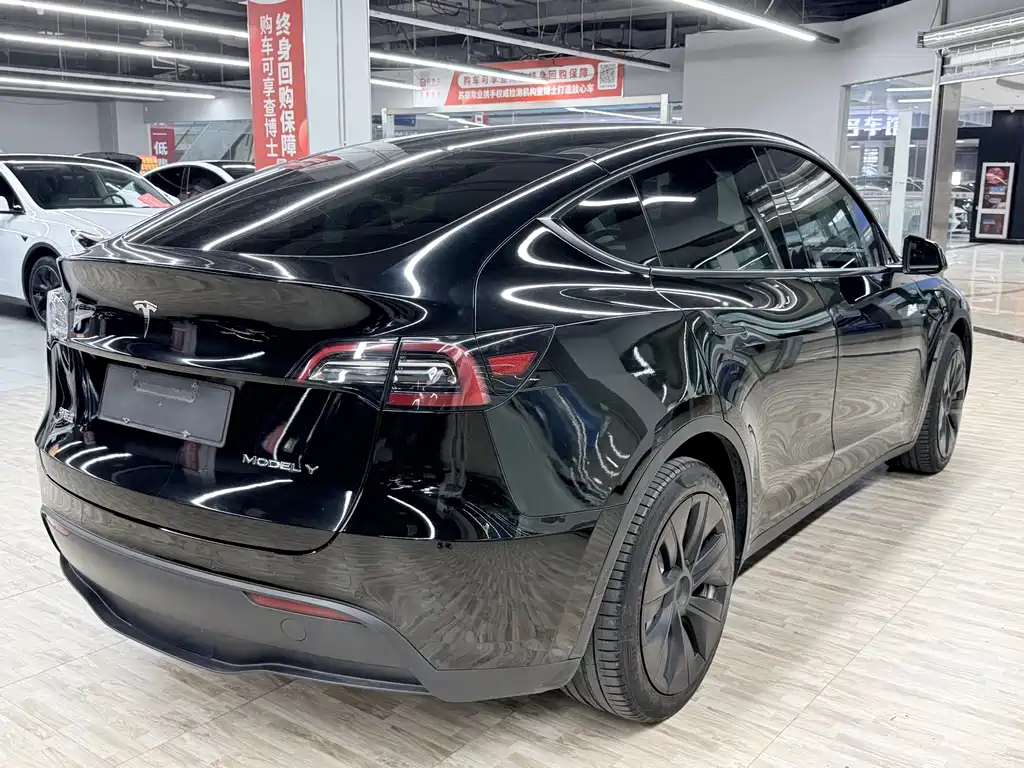 Tesla Model Y — миниатюра 4